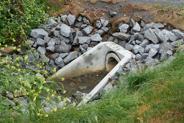 Ditch and Culvert Clean-up