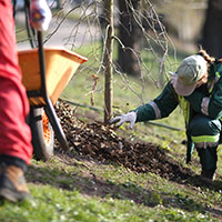Comité consultatif sur l'environnement